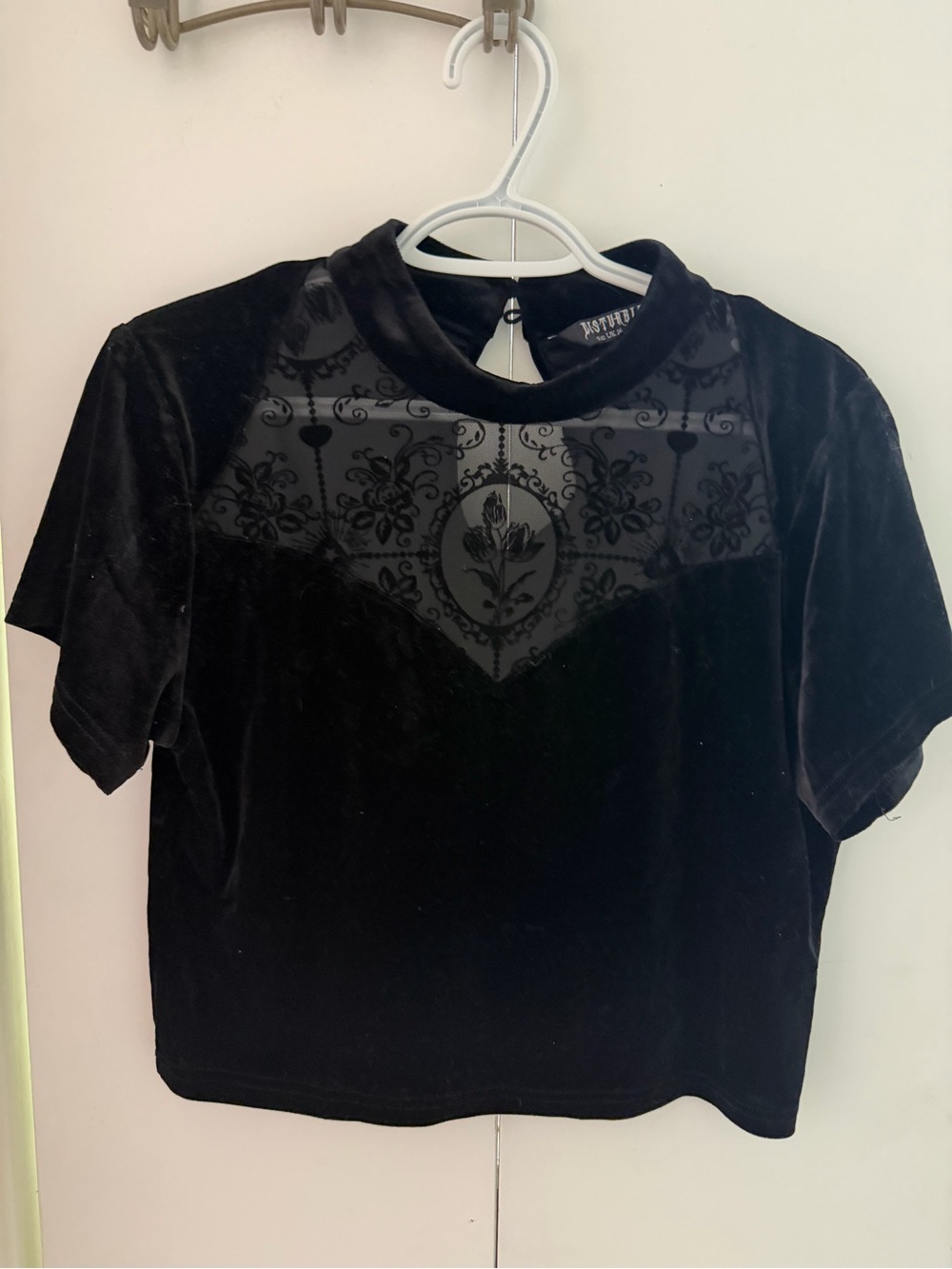 Disturbia Black Velvet Cropped Top with Sheer Patterned Yoke
